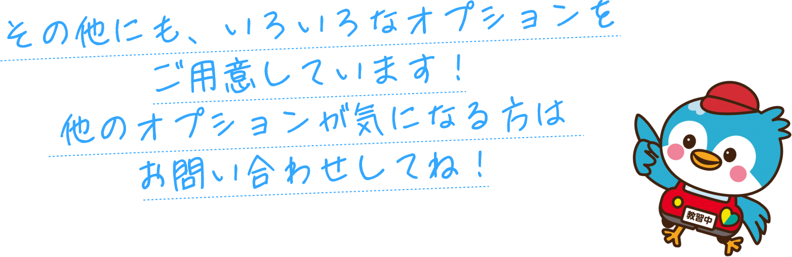 その他にも、いろいろなオプションをご用意しています！他のオプションが気になる方はお問い合わせしてね！